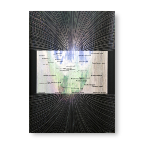 typewest,poster,typography,ポスター,タイポグラフィ